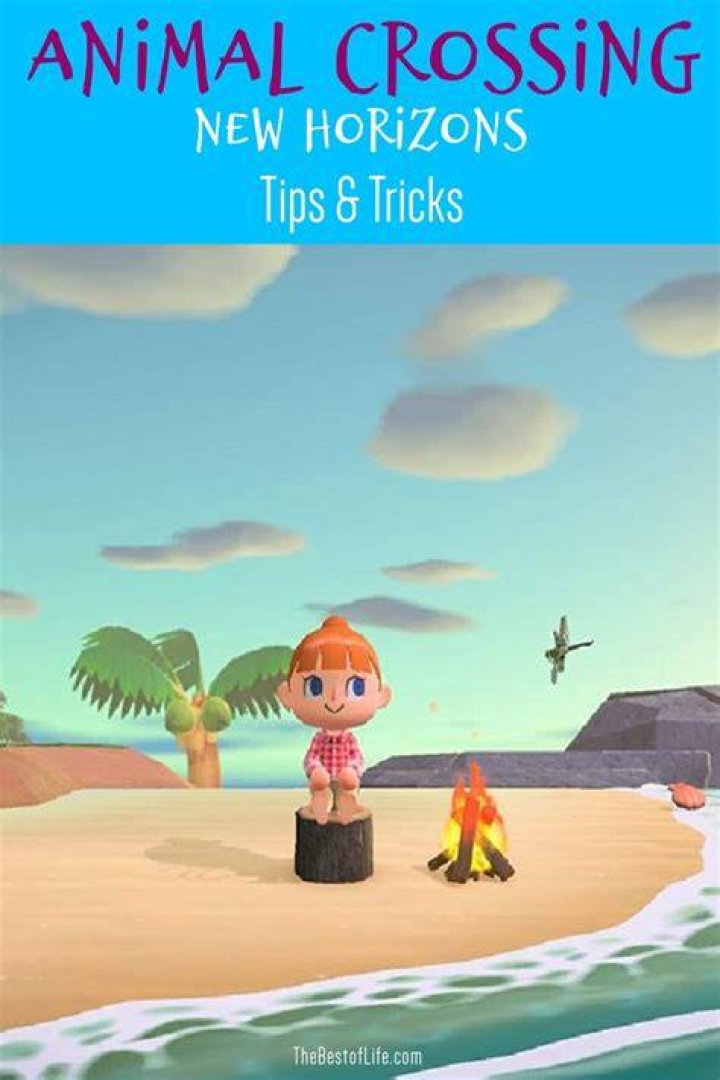 New Horizons Tips