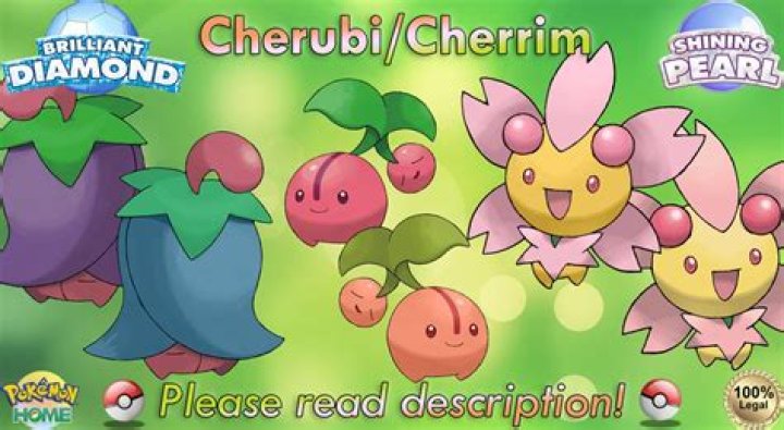 Pokémon BDSP Evolve Cherubi