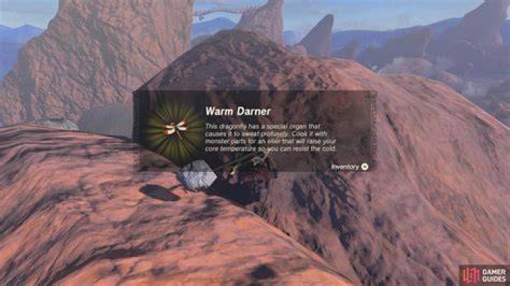 Warm Darner Zelda Tears of the Kingdom